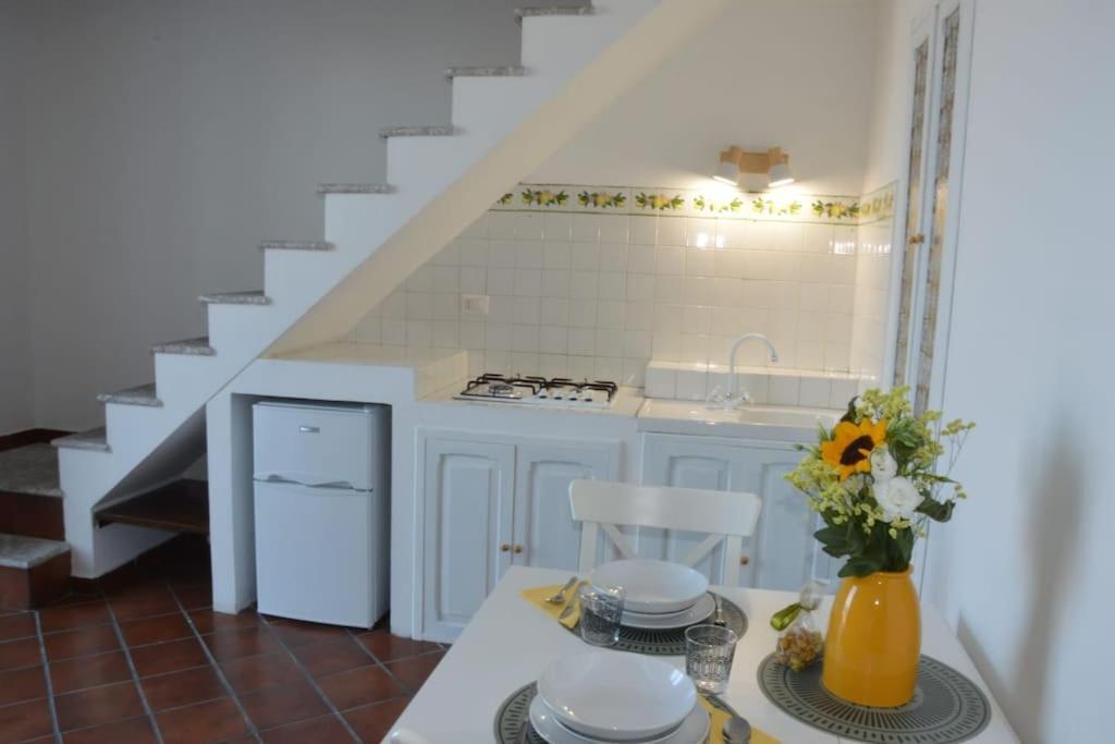 Apartment Fm Panoramic House Center